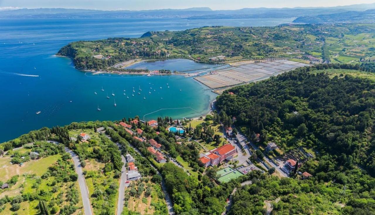 Dino Studio And Room Apartments Portorož Extérieur photo